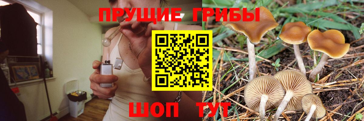 Отрадный  Псилоцибиновые грибы GOLDEN TEACHER  Вход с VPN 