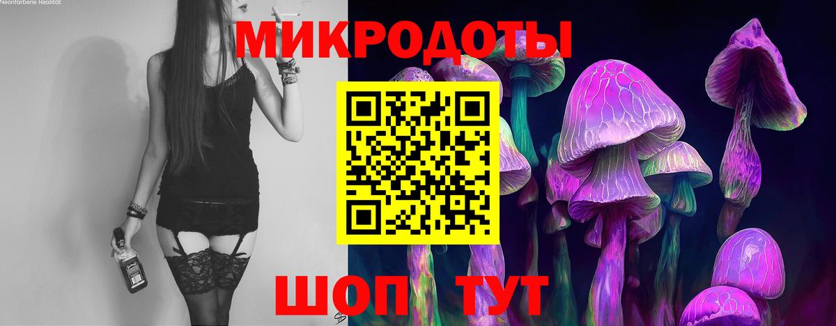 Псилоцибиновые грибы Psilocybe Отрадный